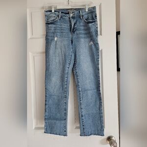 Joe's Jeans Classic Denim
